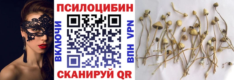 Псилоцибиновые грибы ЛСД  mega вход  Окуловка 